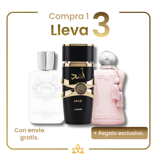 Combo de 3 Perfumes Árabes: Galloway, Asad y Delina - 100 ml.