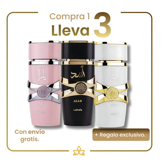 Combo de 3 Perfumes Árabes Lattafa – Yara, Asad y Yara Moi - 100ml