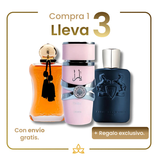 Combo de 3 perfumes árabes: Safanad, Yara y Layton – 100 ml.