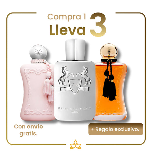 Combo de 3 perfumes Árabes- Delina, Pegasus y Safanad – 100ml